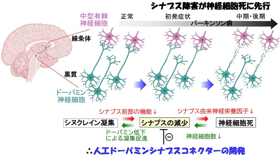 プロジェクトの概要の画像